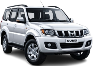 school pool car service near me